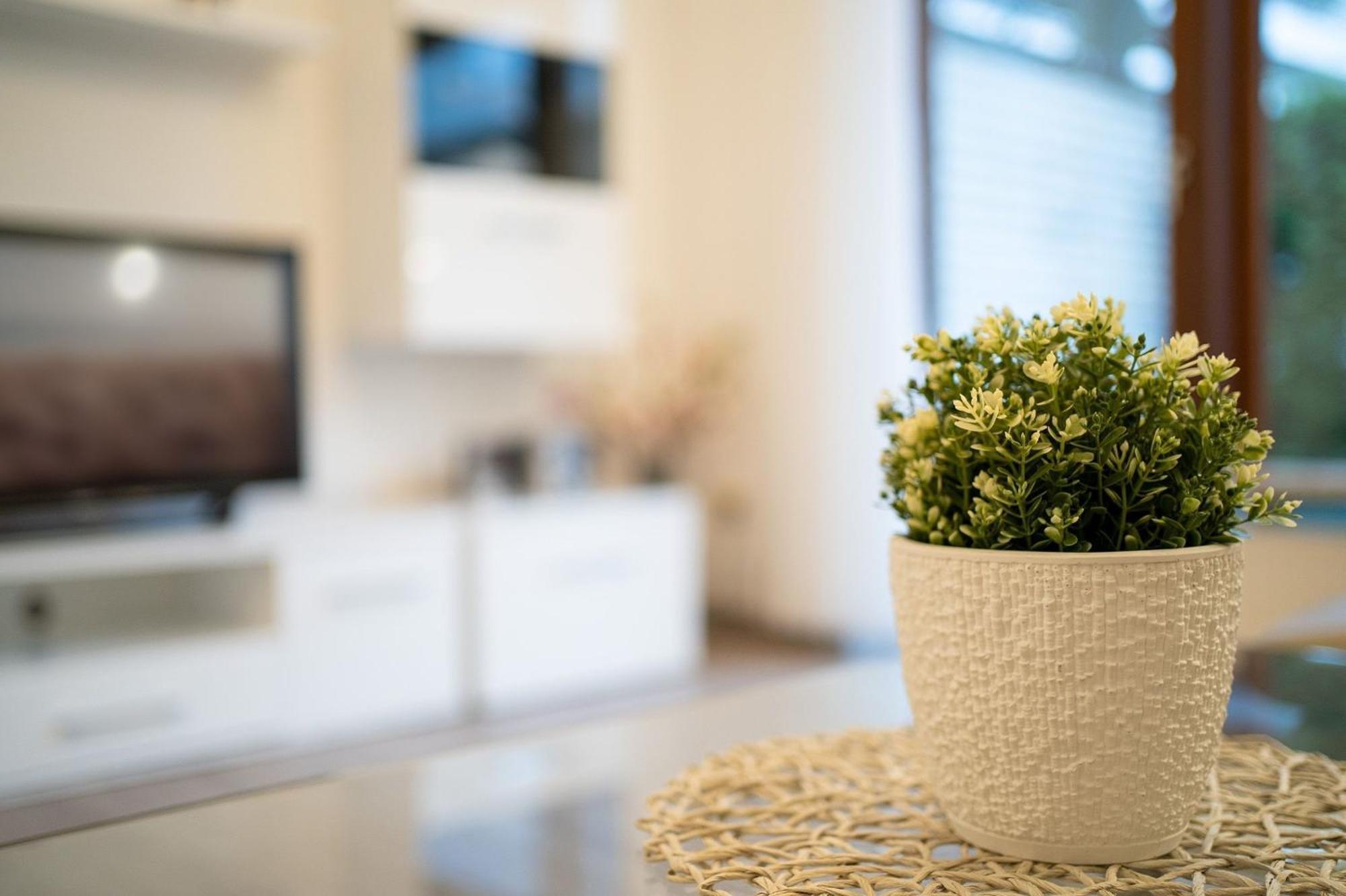 Haus Seebrise- Wohnung 7 グレーミッツ エクステリア 写真